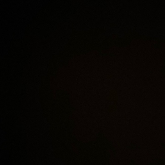 Gildan Tops - not for sale